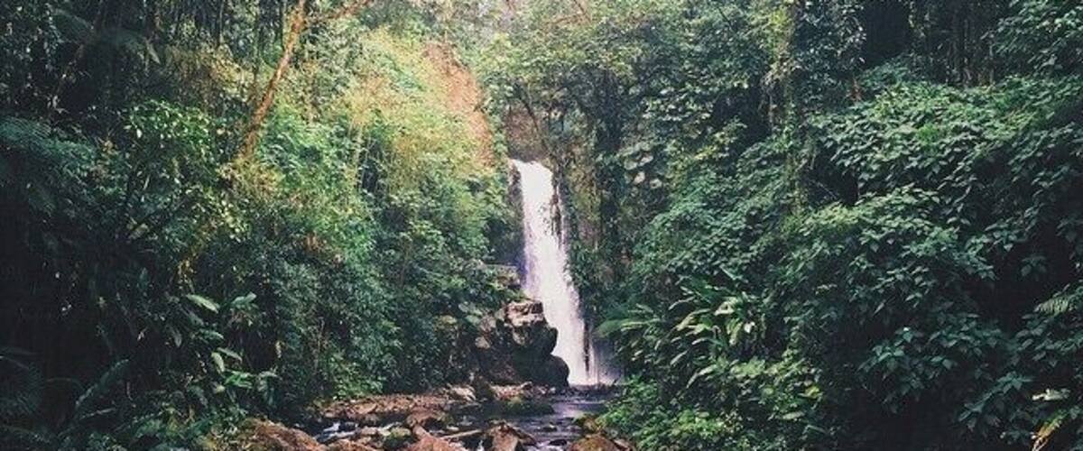 Welcome to Jurassic World #ThisIsCostaRica #CostaRica #JurassicWorld #JurassicPark #LaPaz #WaterfallGardens #LaPazWaterfallGardens #JacoGuides #PuraVida #PuraVidaLifeStyle