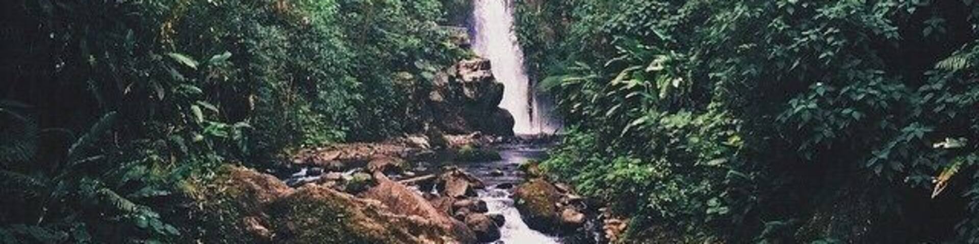 Welcome to Jurassic World #ThisIsCostaRica #CostaRica #JurassicWorld #JurassicPark #LaPaz #WaterfallGardens #LaPazWaterfallGardens #JacoGuides #PuraVida #PuraVidaLifeStyle