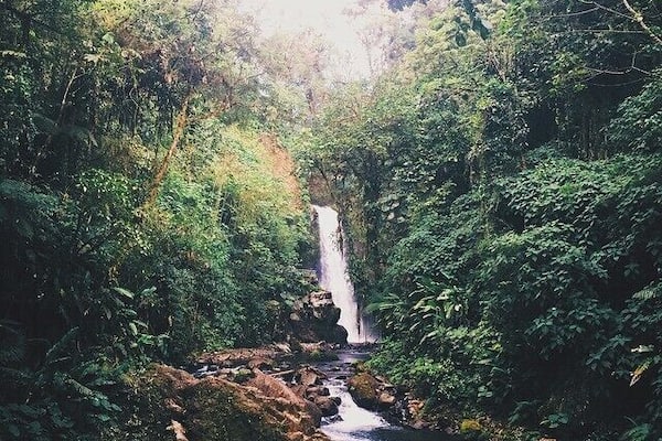 Welcome to Jurassic World #ThisIsCostaRica #CostaRica #JurassicWorld #JurassicPark #LaPaz #WaterfallGardens #LaPazWaterfallGardens #JacoGuides #PuraVida #PuraVidaLifeStyle