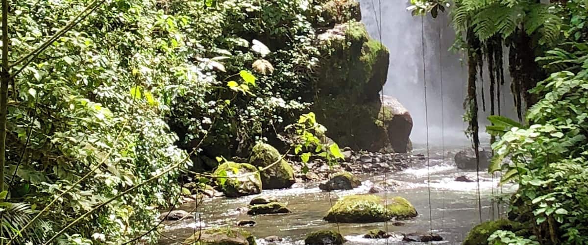 A waterfall in a lush forest with a stream flowing below.