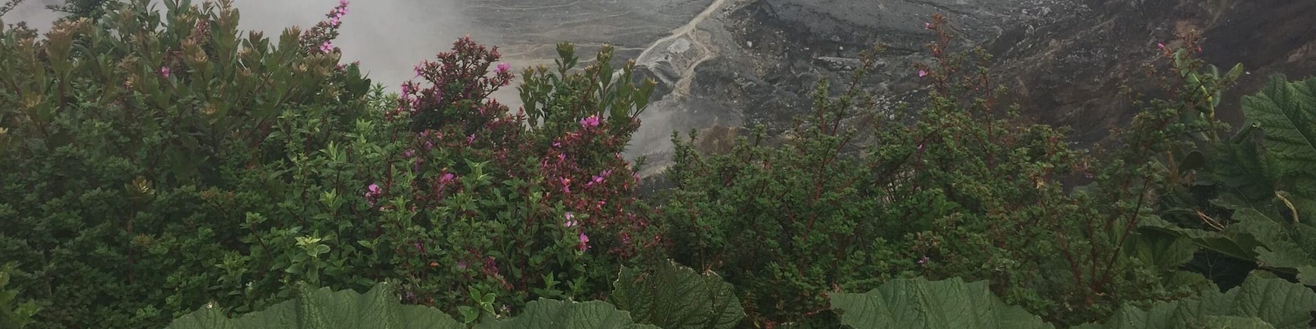 You have to pay for parking and tickets. Stroll on a sidewalk to check this out. Lots of people. Easy for families.