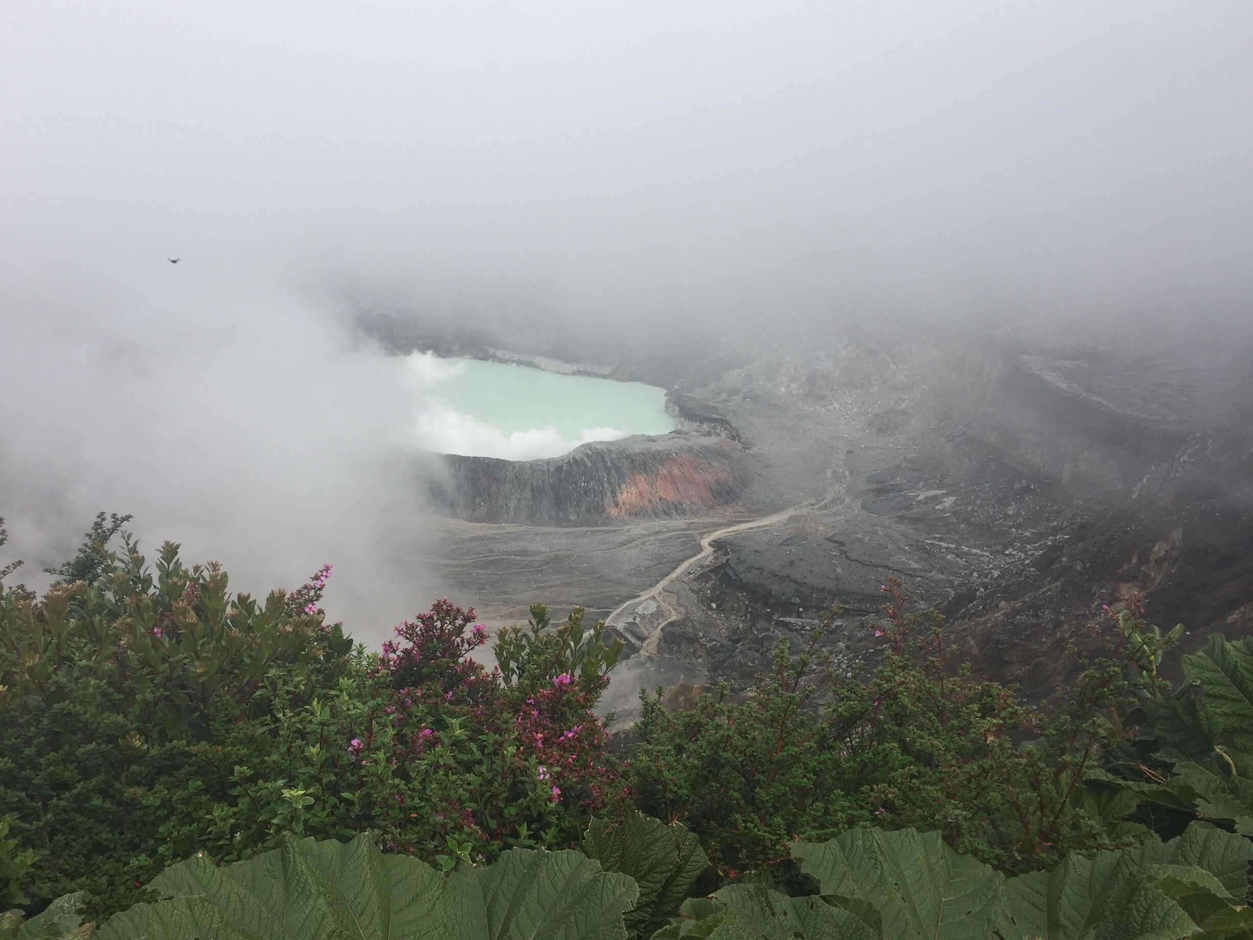 A volcanic landscape with a turquoise lake surrounded by rugged terrain and dense vegetation.