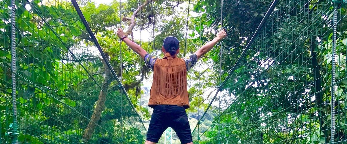 A person standing on a suspension bridge surrounded by lush greenery.