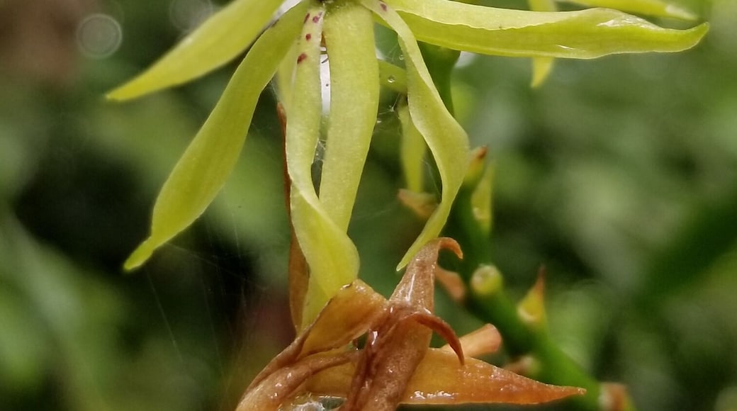 The beauty in Costa Rica kept me speechless....