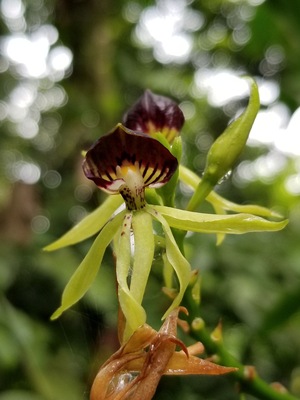 The beauty in Costa Rica kept me speechless....