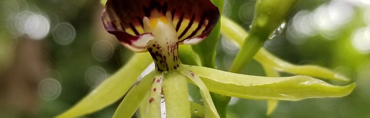 The beauty in Costa Rica kept me speechless....