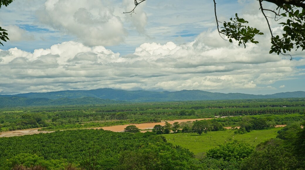 view to the Rio Terraba river and the Osa peninsula near Palmar Sur in Costa Rica