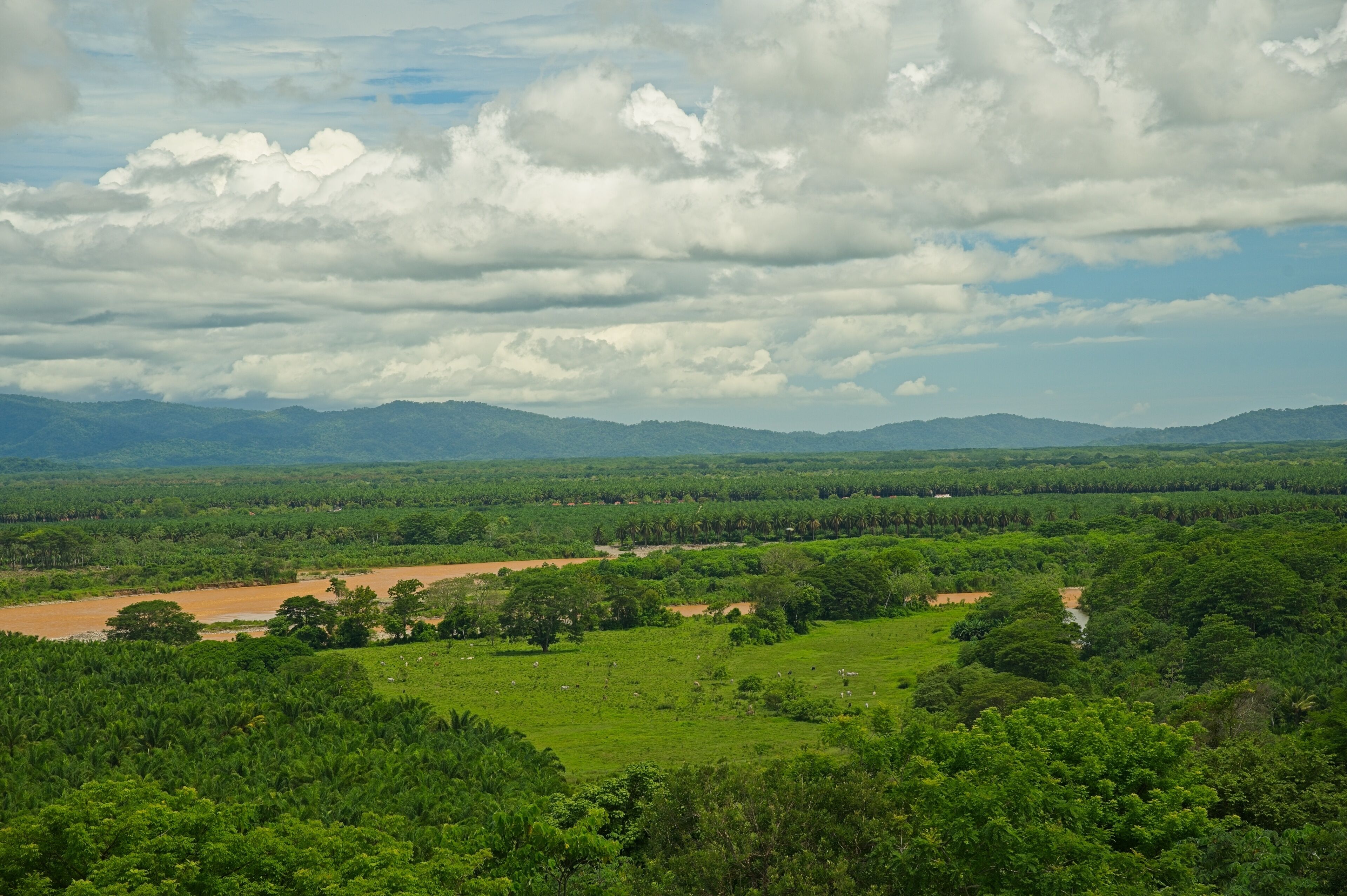 view to the Rio Terraba river and the Osa peninsula near Palmar Sur in Costa Rica