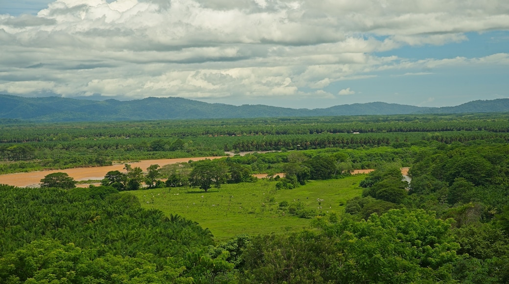 view to the Rio Terraba river and the Osa peninsula near Palmar Sur in Costa Rica