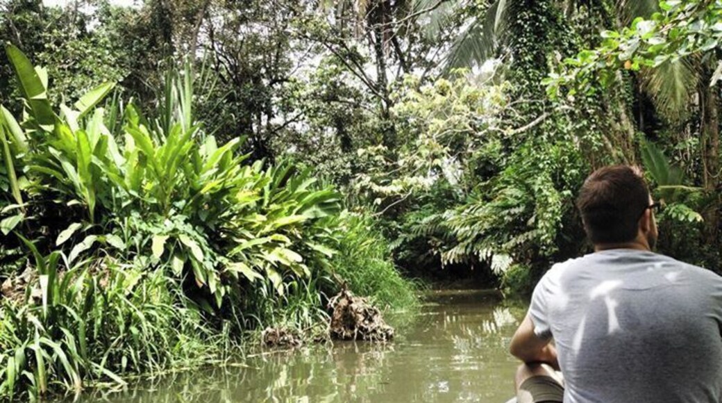 The Sloth Sanctuary in Costa Rica allows you to become educated on not only the sloths and rescue animals, but also offers a boat tour along the river that runs behind their buildings. The jungle was extremely loud with howler monkeys and we spotted a few as well as some blue crabs along the streams banks.