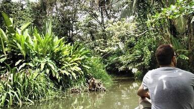 A man in a boat on a river surrounded by dense greenery.