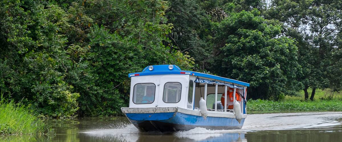 A blue and white boat moving through a river surrounded by dense green foliage.