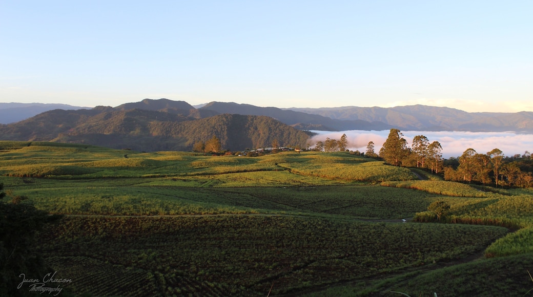 A beautiful morning, "caña de azucar" fields in front of me clouds on my right side ,wow just beautiful