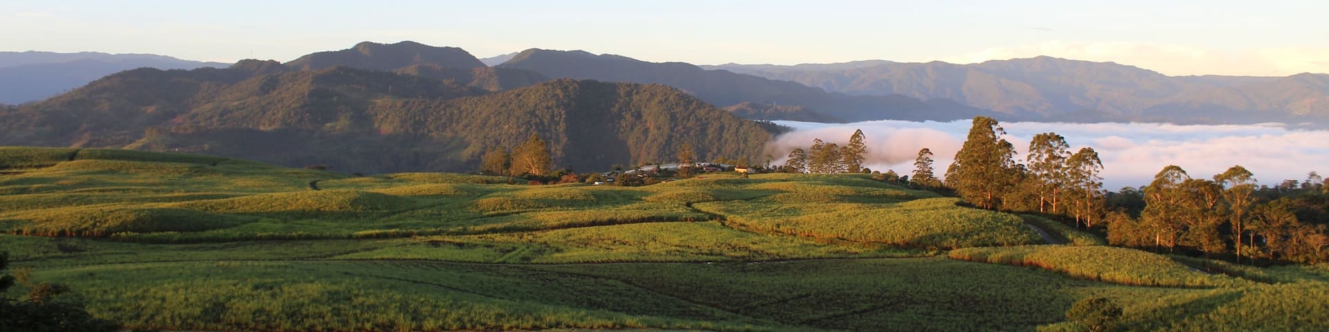 A beautiful morning, "caña de azucar" fields in front of me clouds on my right side ,wow just beautiful