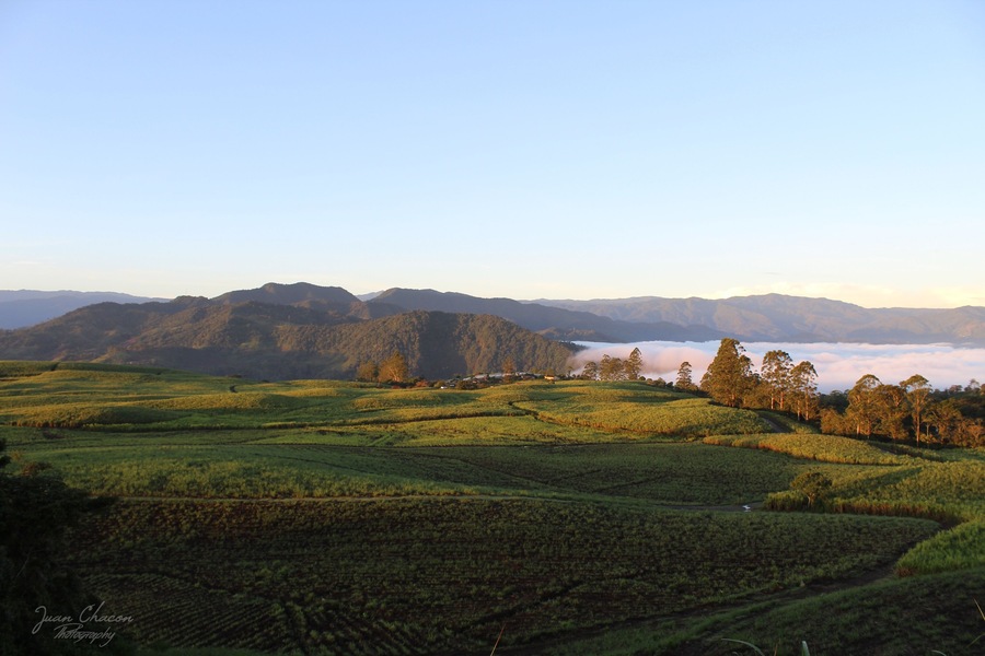 A beautiful morning, "caña de azucar" fields in front of me clouds on my right side ,wow just beautiful