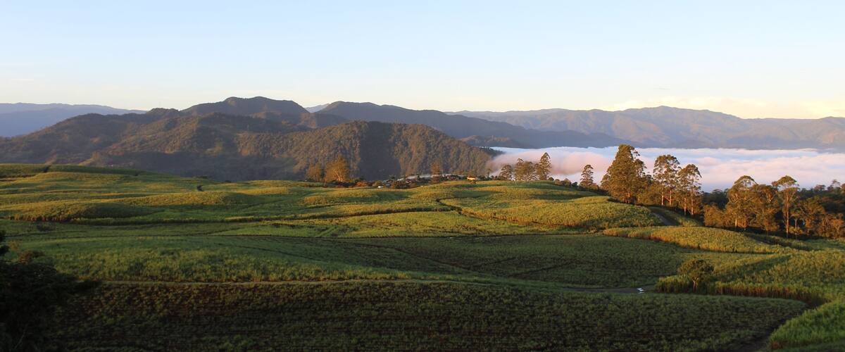 A mountainous landscape with terraced fields and a valley.