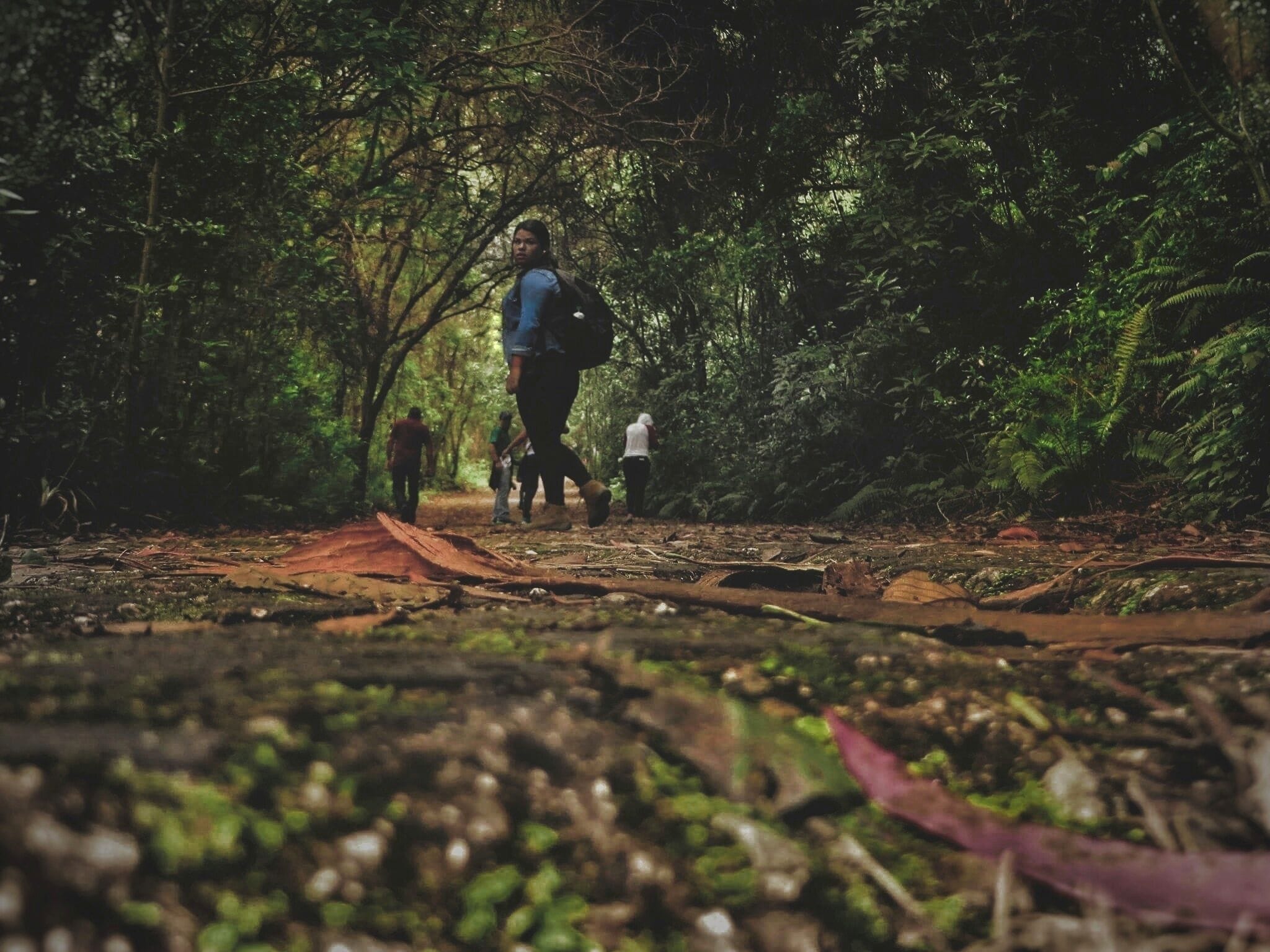 Prusia is a really good place for hiking! 
