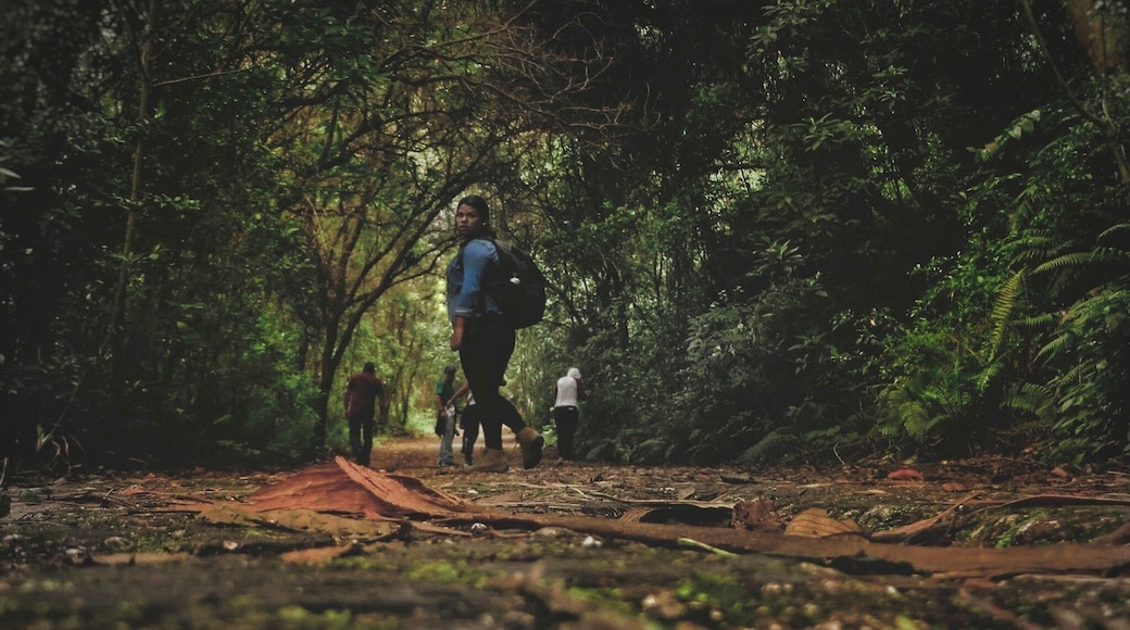 Prusia is a really good place for hiking!