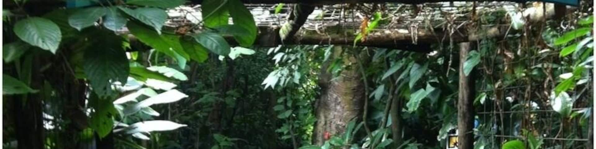 Inbio parque costa rica