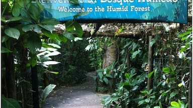 Placa de boas-vindas aos visitantes na floresta úmida.