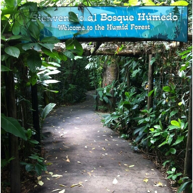 A sign welcoming visitors to the humid forest.