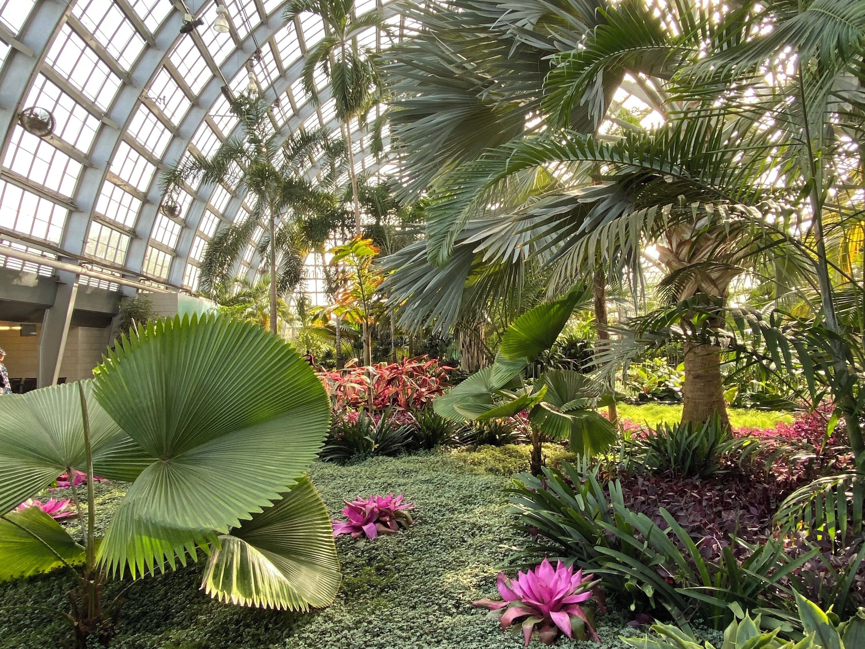 Inside the beautiful Garfield Park Conservatory