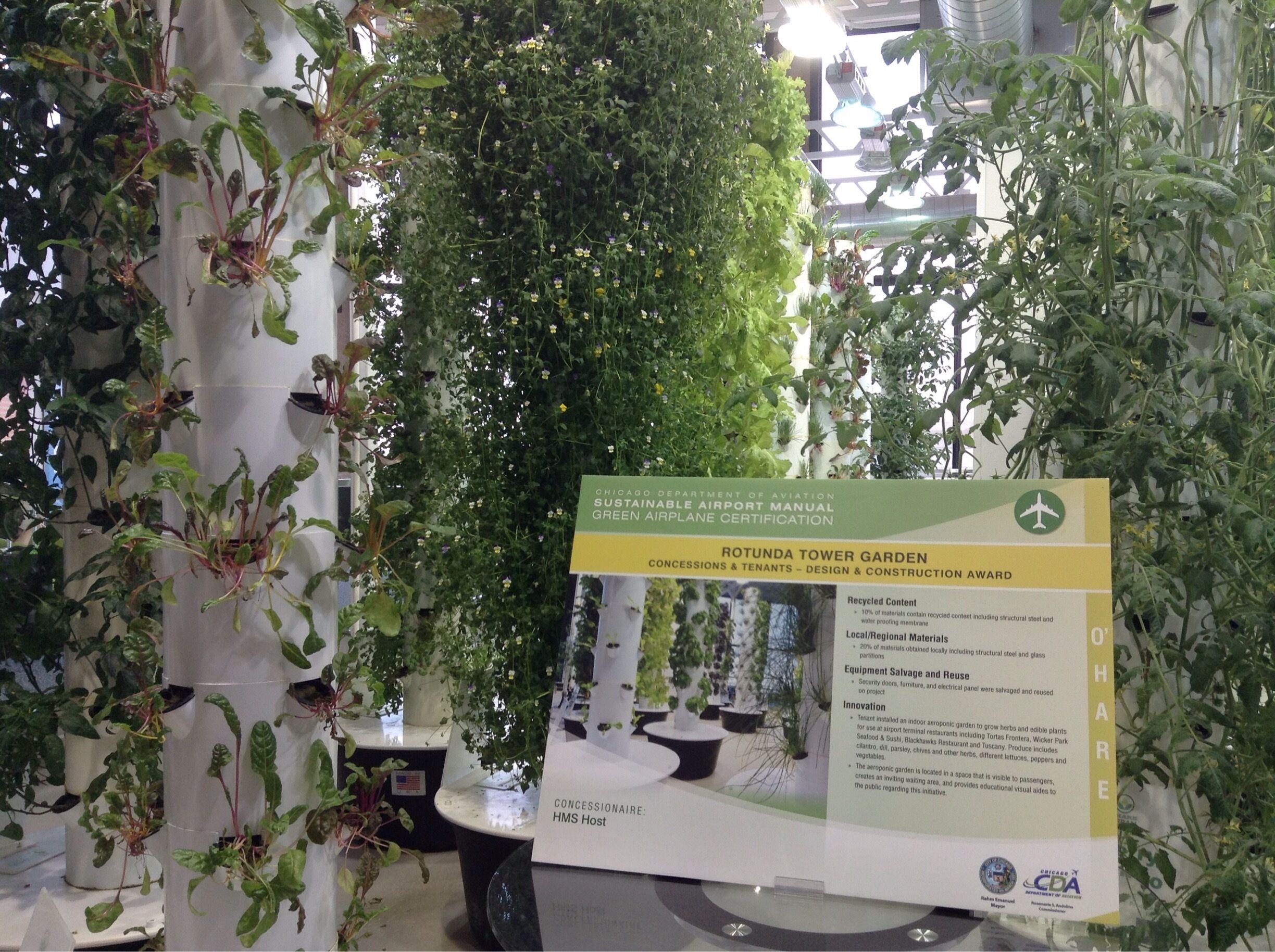 Indoor, vertical garden at Chicago airport.