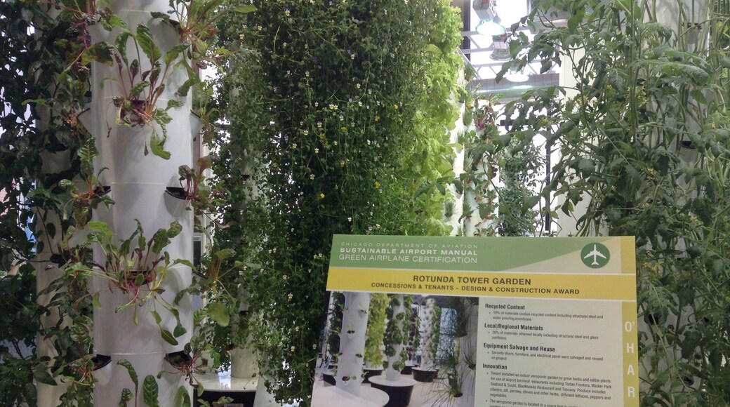Indoor, vertical garden at Chicago airport.