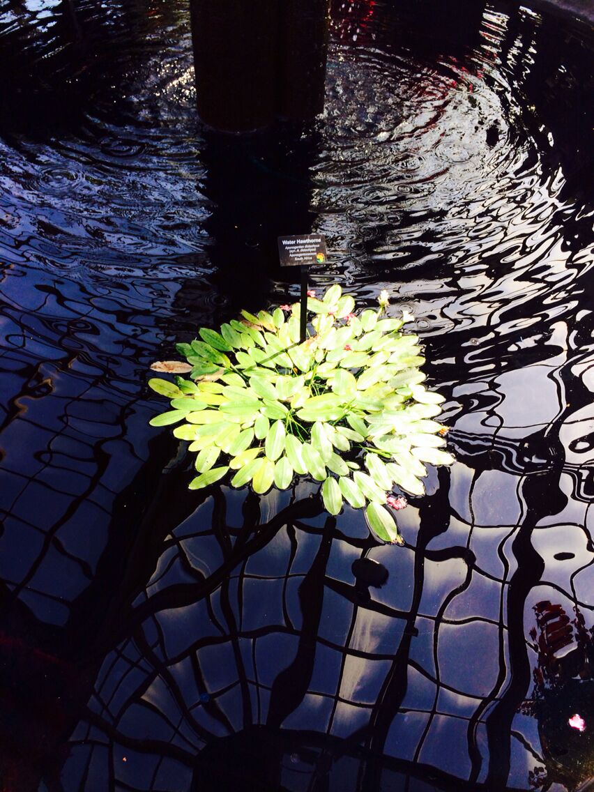 Great way to spend an afternoon!