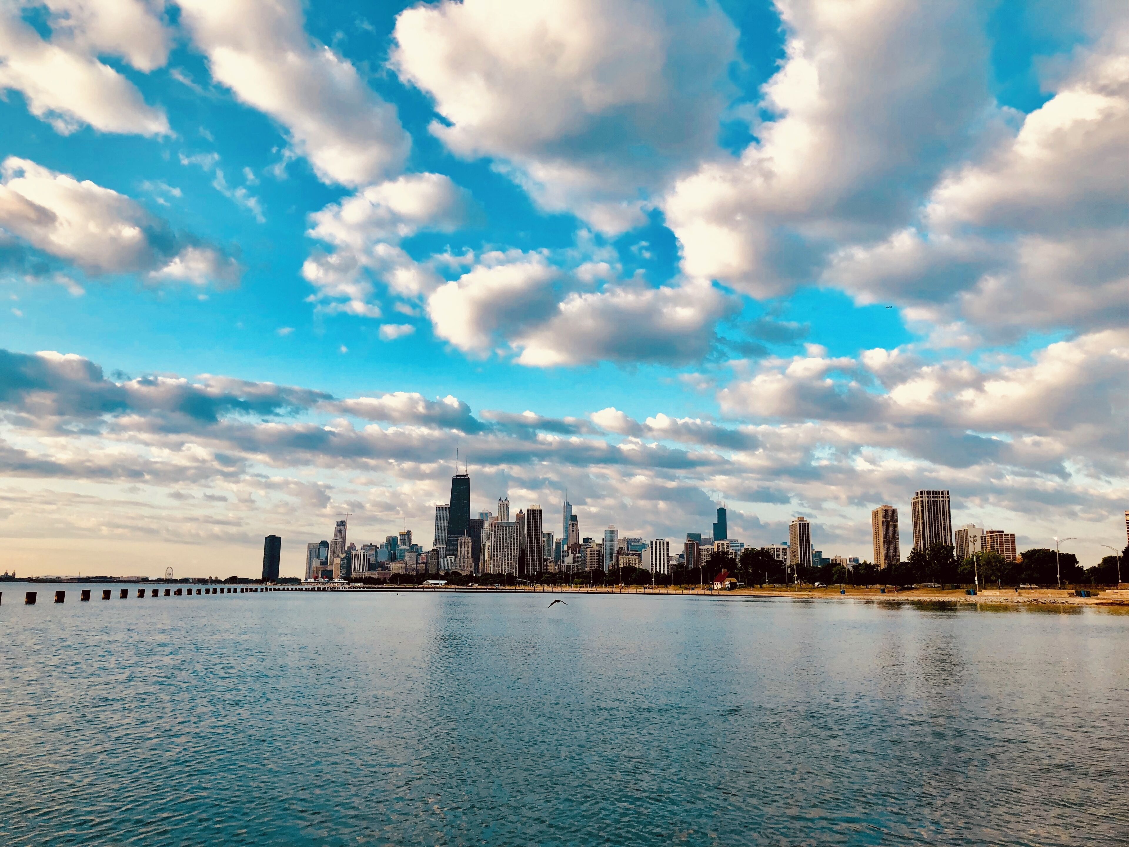 Biking on Chicago Lakefront trail is the best experience that I enjoy every morning and evening on my daily commute. I try to capture the best moments that amazes me on the trail. The picture was taken on the trail between North and Fullerton streets. In order to see this you can ether bike, run, or walk.