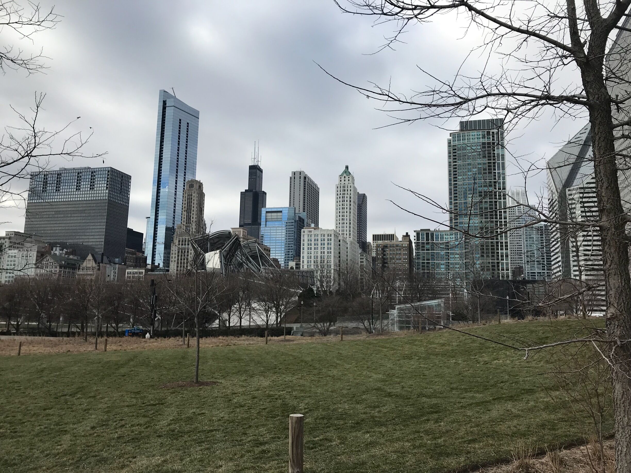Maggie Daley Park