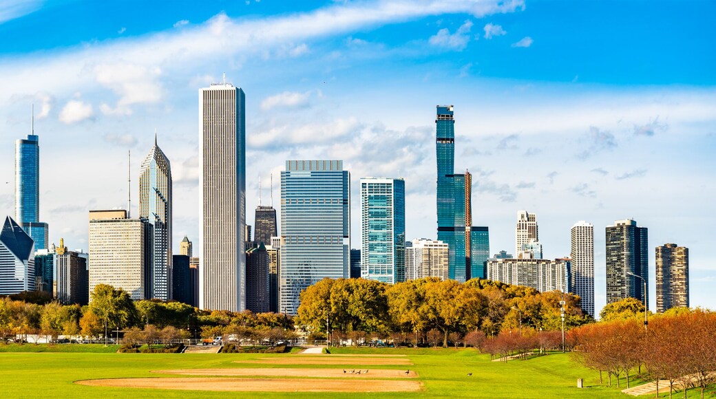 Skyline of Chicago at Grant Park in Illinois - United States