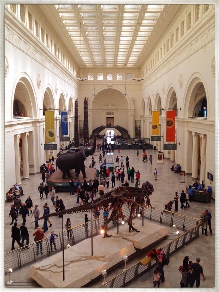 Field Museum. Chicago, IL