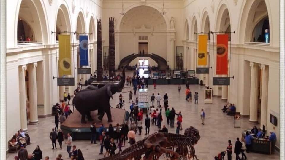 Field Museum. Chicago, IL
