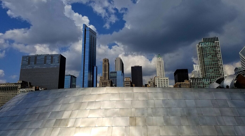 Love to walk through this park. If you are near Millenium park do not miss this on your way to Buckingham Fountain or Lakefront trail. Maggie Daley is a 20-acre park that connects to Millennium Park via the BP Pedestrian Bridge.
Maggie Daley is a magnificent recreation center offering a children's playground, a climbing wall, mini golf, picnic groves, a skating ribbon, tennis courts and a formal garden. (chicagoparkdistrict.com)