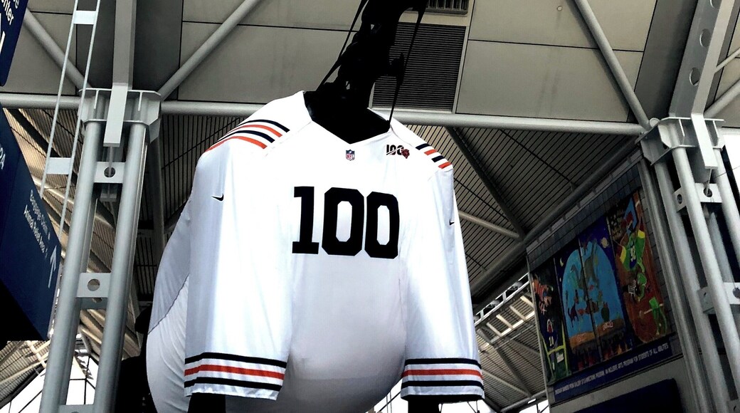 The dinosaur is ready for American football season.