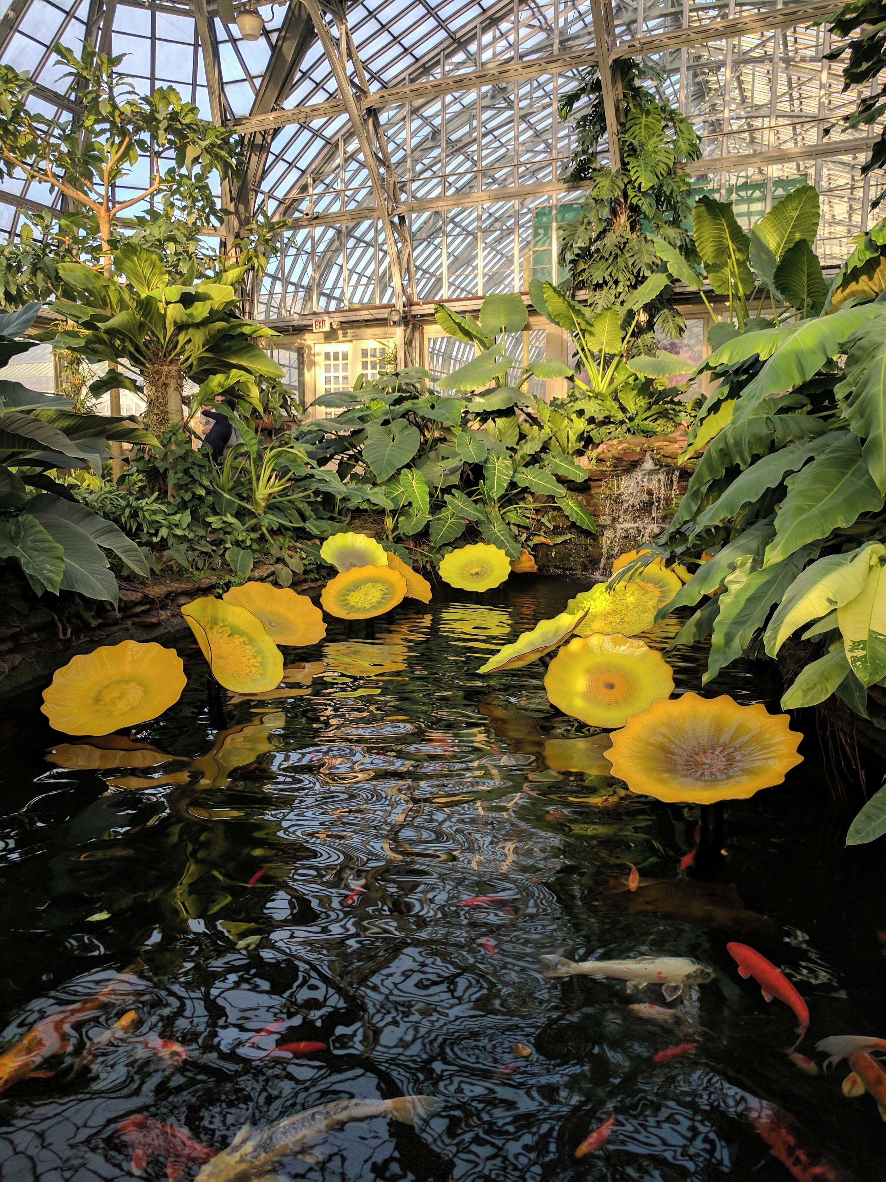 A local Chicagoan gem to witness thousands of varieties of flora and fauna