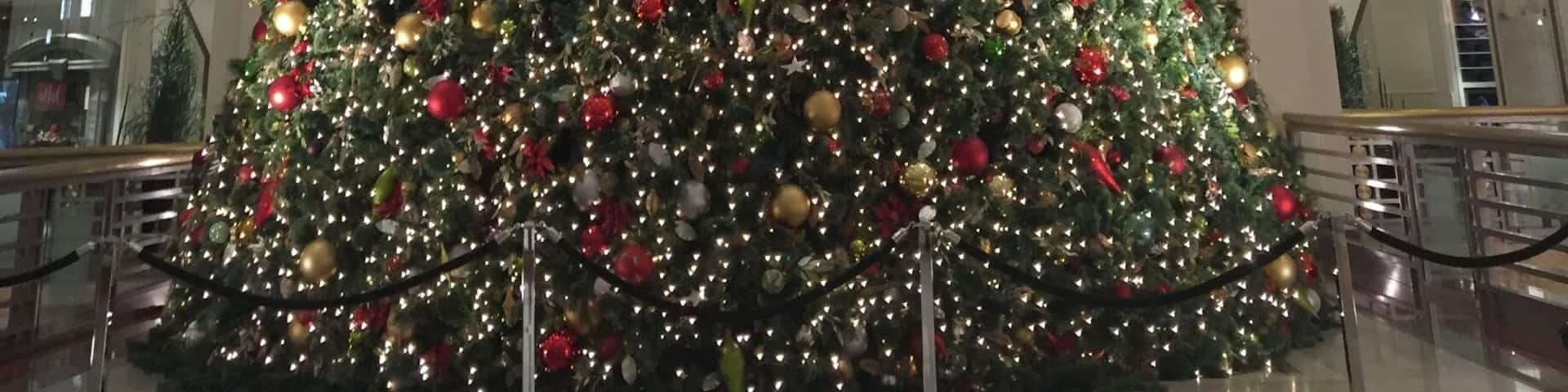 At Bloomingdales, great place to shop and eat. 🎄