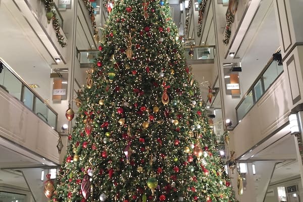 At Bloomingdales, great place to shop and eat. đ