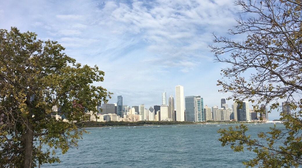 Best spot for Chicago's skyline.