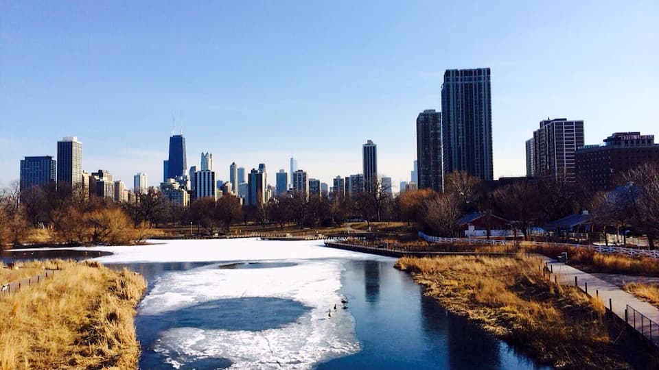 View of the Chicago loop from Lincoln Park Zoo. Free, 365 days a year!