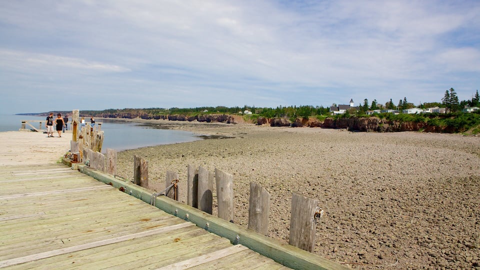 A wooden pier leading to a pebble beach with houses and trees in the background.