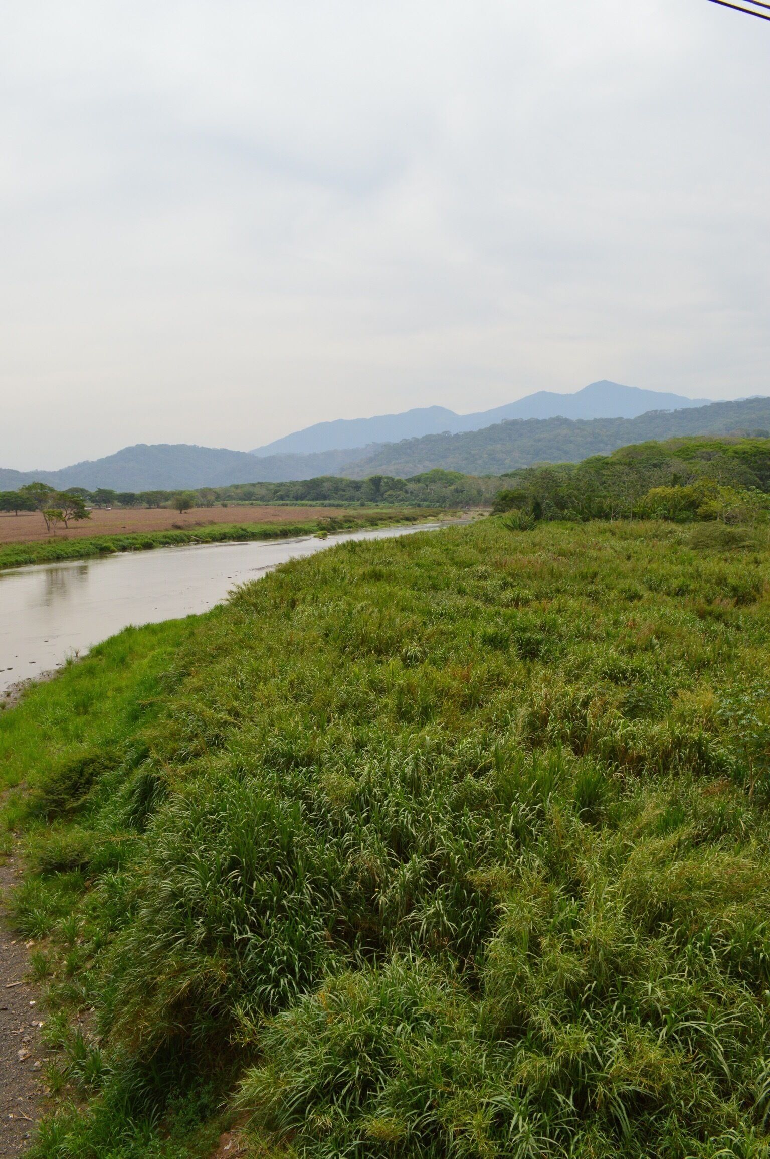 View from the crocodile bridge