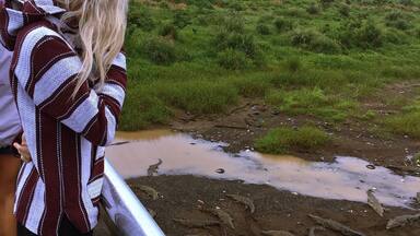 Welcome to Rio Tarcoles, where tourists stop to view these ancient dinosaurs.
I've heard a few stories about this place, one being that locals sometimes toss live chickens off the bridge to put on a "show". I also read somewhere that a drunk man was bet $20 to swim across the river...and he did, but didn't quite make it.
If you are at all amazed by crocodiles, this place is crazy cool. I've been here a couple of times and still get excited by the number of crocs there are. Once in awhile you'll see a stork slowly walk up to a croc, almost as if he's doing a dare, and the croc will slowly swim towards him. You get your camera ready waiting for something to go down. The stork usually smartens up and flys off though.
#riotarcoles #tarcoles
#costarica #crocs #river #centralamerica