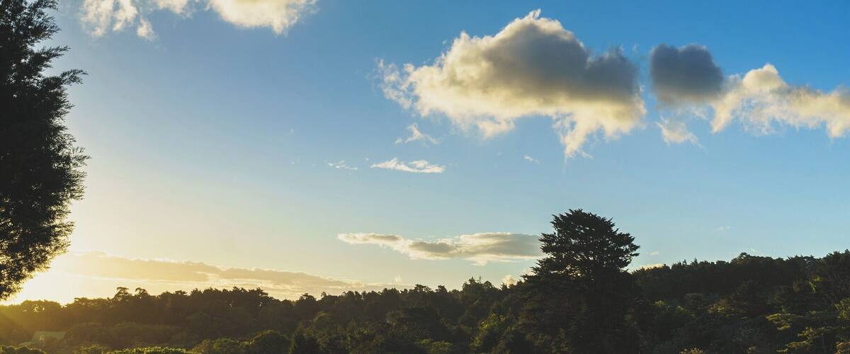 A sunset over a field with trees and a clear sky.