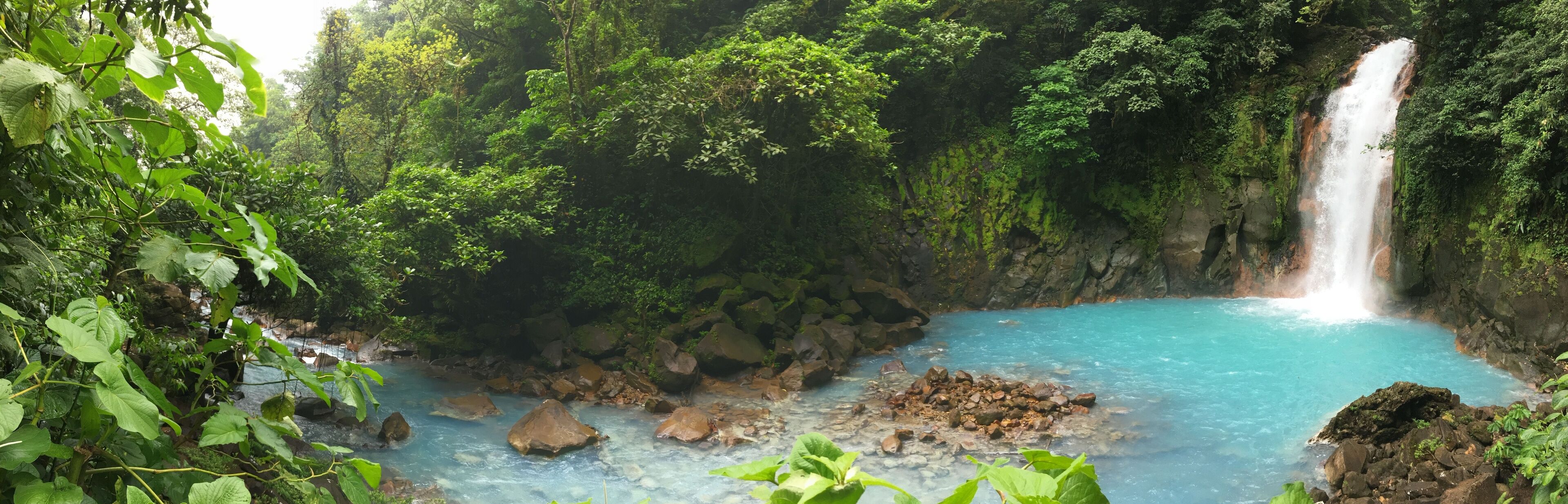 A waterfall cascading into a turquoise pool surrounded by lush greenery.