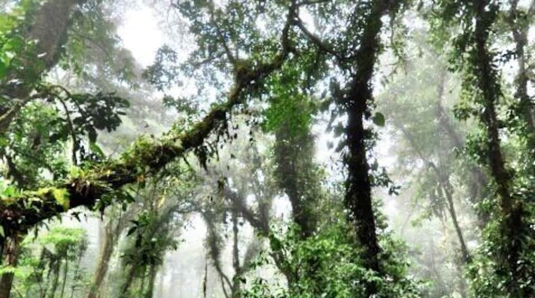 Taken last year in Costa Rica.