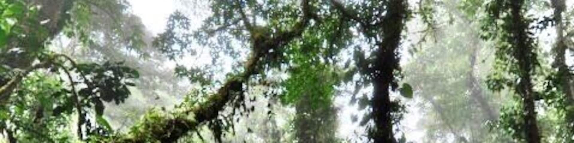 Taken last year in Costa Rica.