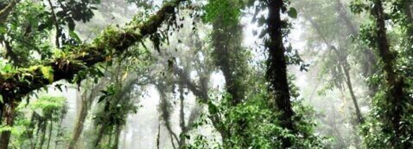 Taken last year in Costa Rica.