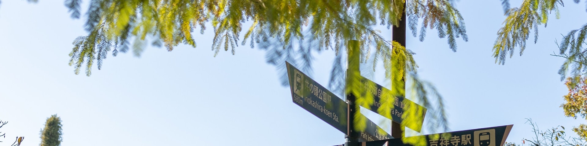 sign in INOKASHIRA park